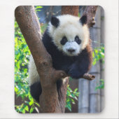 Niedliche Kleintiere | Giant Panda Cub Mousepad (Vorne)