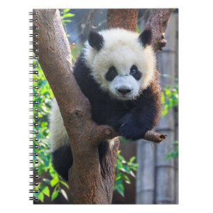 Niedliche Kleintiere Giant Panda Cub Notizblock