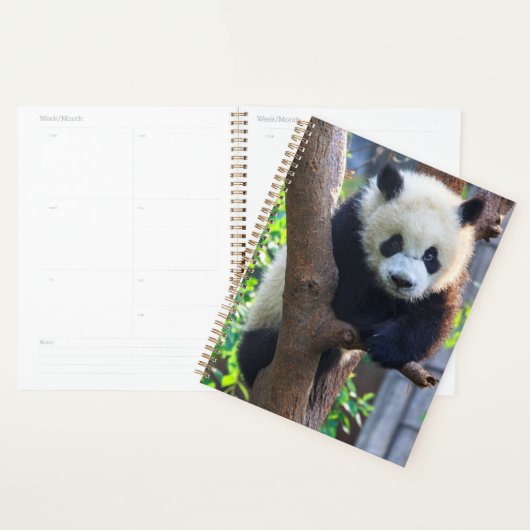 Niedliche Kleintiere | Giant Panda Cub Planer (Anzeige)