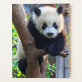 Niedliche Kleintiere | Giant Panda Cub Planer (Rückseite)