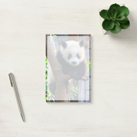Niedliche Kleintiere | Giant Panda Cub Post-it Klebezettel (Büro)