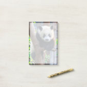 Niedliche Kleintiere | Giant Panda Cub Post-it Klebezettel (Auf Schreibtisch)