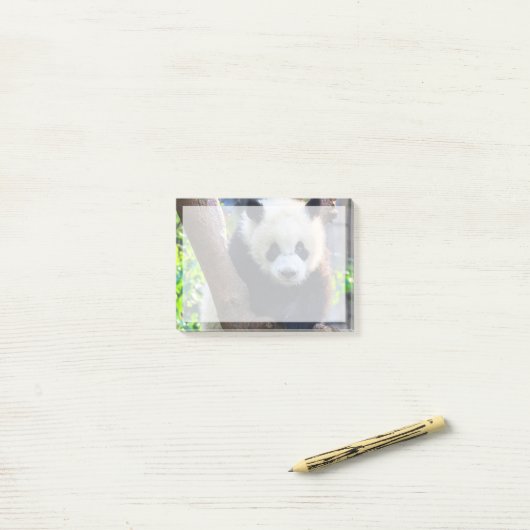 Niedliche Kleintiere | Giant Panda Cub Post-it Klebezettel (Auf Schreibtisch)
