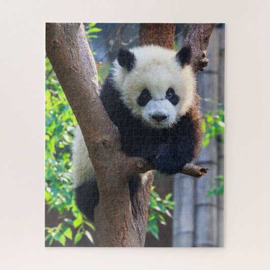 Niedliche Kleintiere | Giant Panda Cub Puzzle (Vertikal)