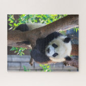 Niedliche Kleintiere | Giant Panda Cub Puzzle (Horizontal)