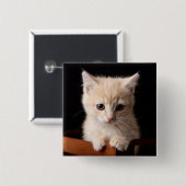 Niedliche Kleintiere | Ginger Kitten Button (Vorne & Hinten)