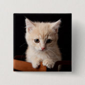 Niedliche Kleintiere | Ginger Kitten Button (Vorderseite)
