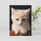 Niedliche Kleintiere | Ginger Kitten Dankeskarte (Stehend Vorderseite)