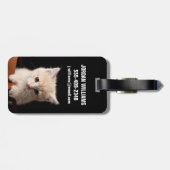 Niedliche Kleintiere | Ginger Kitten Gepäckanhänger (Rückseite horizontal)