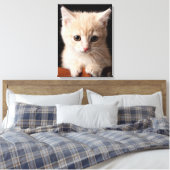 Niedliche Kleintiere | Ginger Kitten Leinwanddruck (Insitu (Schlafzimmer))