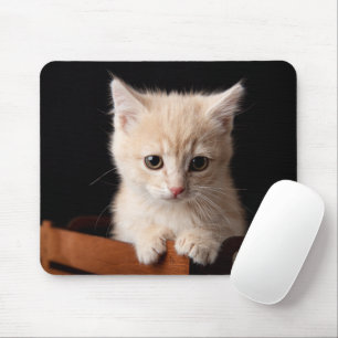 Niedliche Kleintiere Ginger Kitten Mousepad