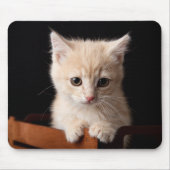 Niedliche Kleintiere | Ginger Kitten Mousepad (Vorne)