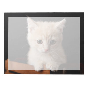 Niedliche Kleintiere Ginger Kitten Notizblock