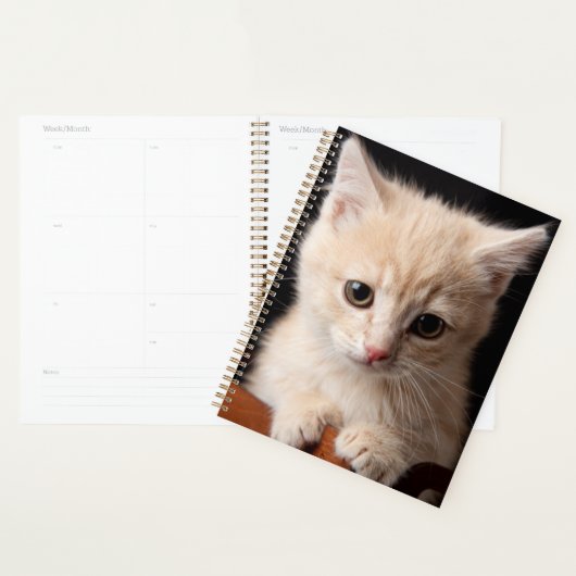 Niedliche Kleintiere | Ginger Kitten Planer (Anzeige)