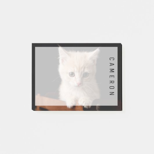 Niedliche Kleintiere | Ginger Kitten Post-it Klebezettel (Vorderseite)