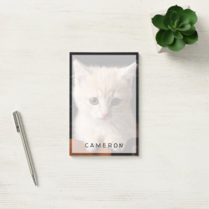 Niedliche Kleintiere Ginger Kitten Post-it Klebezettel
