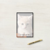 Niedliche Kleintiere | Ginger Kitten Post-it Klebezettel (Auf Schreibtisch)