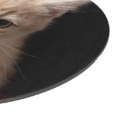 Niedliche Kleintiere | Ginger Kitten Schneidebrett (Ecke)