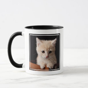Niedliche Kleintiere   Ginger Kitten Tasse