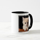 Niedliche Kleintiere | Ginger Kitten Tasse (VorderseiteRechts)