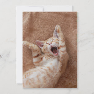 Niedliche Kleintiere   Ginger Kitten Yawning Dankeskarte