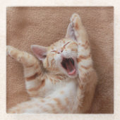 Niedliche Kleintiere | Ginger Kitten Yawning Glasuntersetzer (Vorderseite)