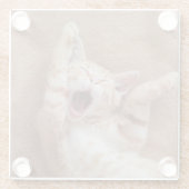 Niedliche Kleintiere | Ginger Kitten Yawning Glasuntersetzer (Rückseite)