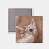 Niedliche Kleintiere | Ginger Kitten Yawning Magnet (Vorderseite/Rückseite)