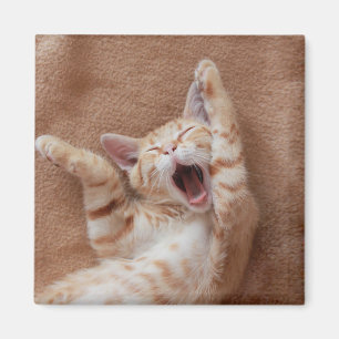 Niedliche Kleintiere Ginger Kitten Yawning Magnet
