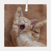 Niedliche Kleintiere | Ginger Kitten Yawning Ornament Aus Glas (Rückseite)