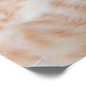 Niedliche Kleintiere | Ginger Kitten Yawning Poster (Ecke)