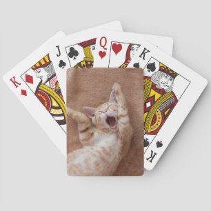 Niedliche Kleintiere   Ginger Kitten Yawning Spielkarten