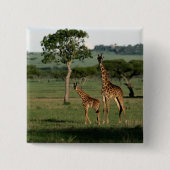 Niedliche Kleintiere | Giraffe Calf & Mama Button (Vorderseite)