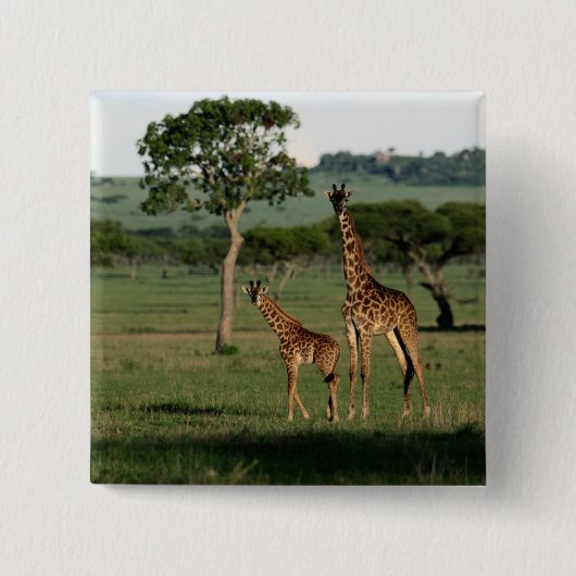 Niedliche Kleintiere | Giraffe Calf & Mama Button (Vorderseite)