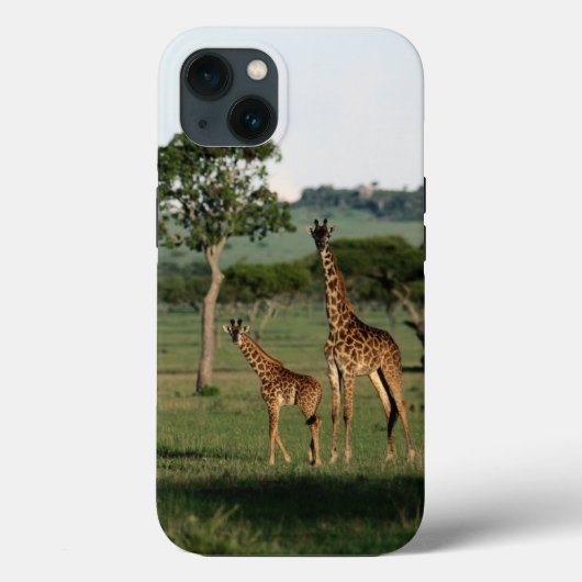 Niedliche Kleintiere | Giraffe Calf & Mama Case-Mate iPhone Hülle (Rückseite)