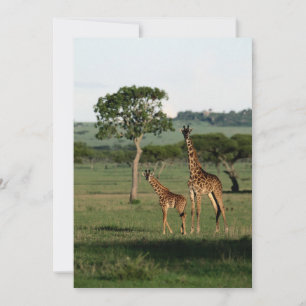 Niedliche Kleintiere Giraffe Calf & Mama Dankeskarte