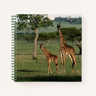 Niedliche Kleintiere   Giraffe Calf & Mama Notizblock