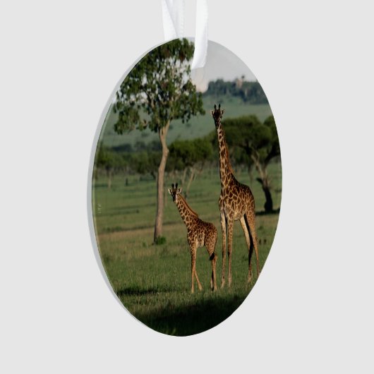 Niedliche Kleintiere | Giraffe Calf & Mama Ornament (Vorderseite)