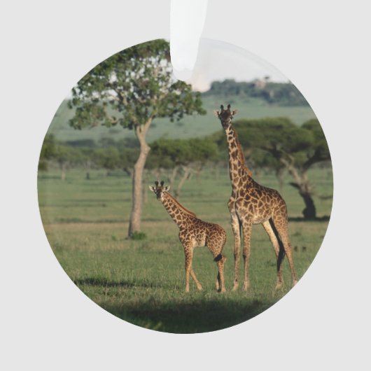 Niedliche Kleintiere | Giraffe Calf & Mama Ornament (Vorderseite)