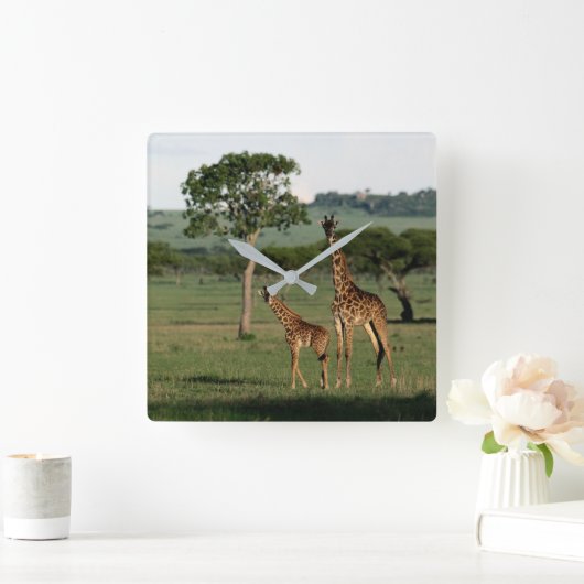 Niedliche Kleintiere | Giraffe Calf & Mama Quadratische Wanduhr (Zuhause)