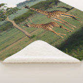 Niedliche Kleintiere | Giraffe Calf & Mama Sherpadecke (3/4)