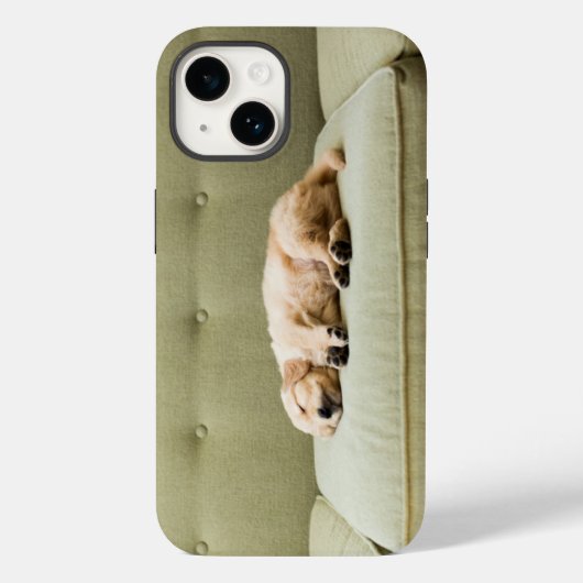 Niedliche Kleintiere | Golden Retriever Puppy 2 Case-Mate iPhone Hülle (Rückseite)