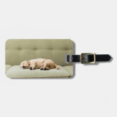 Niedliche Kleintiere | Golden Retriever Puppy 2 Gepäckanhänger (Vorderseite horizontal)