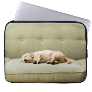 Niedliche Kleintiere   Golden Retriever Puppy 2 Laptopschutzhülle