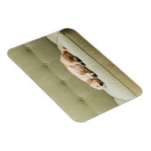 Niedliche Kleintiere | Golden Retriever Puppy 2 Magnet (Rechte Seite)