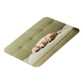 Niedliche Kleintiere | Golden Retriever Puppy 2 Magnet (Linke Seite)