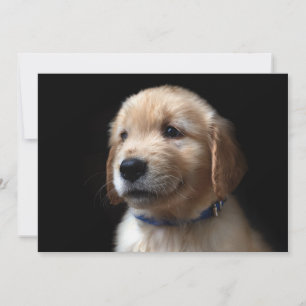 Niedliche Kleintiere   Golden Retriever Puppy Dankeskarte