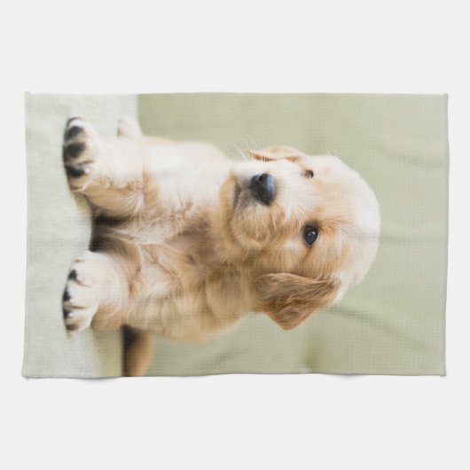 Niedliche Kleintiere | Golden Retriever Puppy Geschirrtuch (Horizontal)