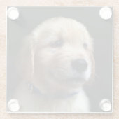 Niedliche Kleintiere | Golden Retriever Puppy Glasuntersetzer (Rückseite)