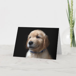 Niedliche Kleintiere Golden Retriever Puppy Karte